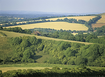 The South Downs, East Sussex, England, United Kingdom, Europe