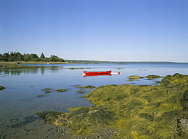 Coastal sceney on Deer Isle, Maine, New England, United States of America, North America