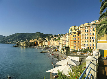 Colourful old buildings on the seafront, Camogli, Liguria, Italian Riviera, Italy, Europe