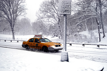 A yellow taxi in Central Park during a snowstorm, New York City, USA, North America