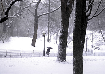 A view of Central Park including benches and a lakeside shelter during a snowstorm, New York City, USA