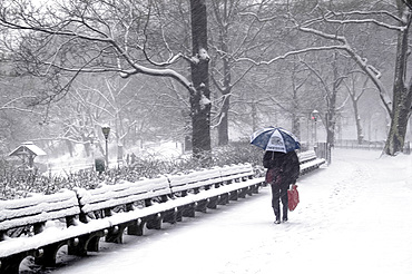 A man walking through Central Park during a snowstorm in, New York City, USA, North America