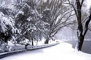 The Bow Bridge in Central Park during a snowstorm, New York City, USA, North America