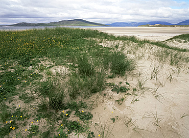 Sand dunes and beach grass, Seilebost Beach, Harris Island, Outer Hebrides, Scotland, United Kingdom, Europe