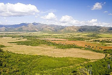 Sugar cane fields and the Escambray Mountains, Sancti Spiritus, near Trinidad, Cuba, West Indies, Central America