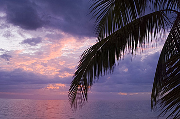 Sunset on the Playa Ancon and palm tree leaves in silhouette, Trinidad, Cuba, West Indies, Central America