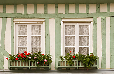 A colourful green and white half timbered building with geranium flower boxes in Beaumont en Auge, Normandy, France, Europe