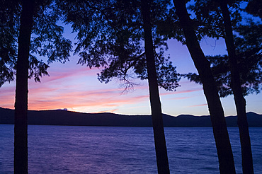 Sunset through pine trees, Lake George, The Adirondack Mountains, New York State, United States of America, North America