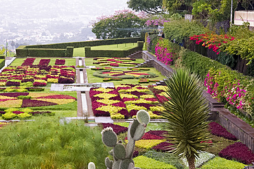 A terrace planted in geometric shapes with contrasting red and green plants in the Jardim Botanico, Funchal, Madeira, Portugal, Europe