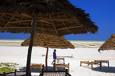 Thatched beach umbrellas and traditional sunbeds made from coconut wood on the beach at Paje, Zanzibar, Tanzania, East Africa, Africa