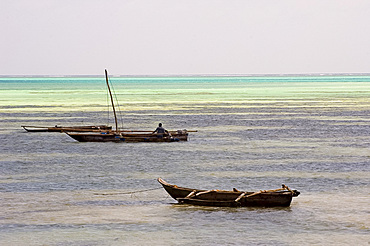 Traditional wooden dhows in the sea near Paje, Zanzibar, Tanzania, East Africa, Africa