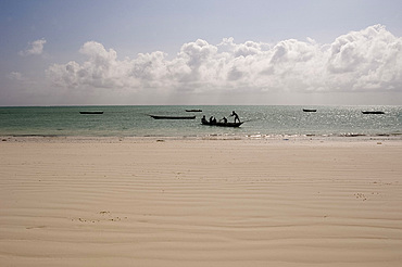 Traditional wooden dhows in the sea near Paje, Zanzibar, Tanzania, East Africa, Africa