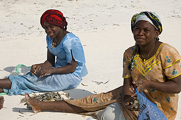 Local women in colourful dress sorting clams on the beach, Paje, Zanzibar, Tanzania, East Africa, Africa