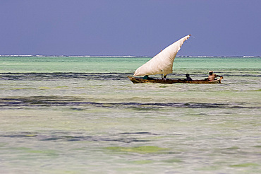 A traditional wooden dhow with sail, Zanzibar, Tanzania, East Africa, Africa