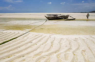 Traditional wooden dhows on Paje Beach at low tide, Paje, Zanzibar, Tanzania, East Africa, Africa