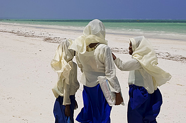 Schoolgirls walking along Kiwendwa Beach wearing white headscarves and blue skirts, Zanzibar, Tanzania, East Africa, Africa