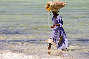 A woman in colourful dress carrying a bag of harvested seaweed on her head, Paje, Zanzibar, Tanzania, East Africa, Africa