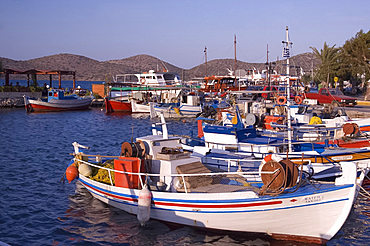 Fishing boats in the harbour in Elounda in Eastern Crete, Greek Islands, Greece, Europe