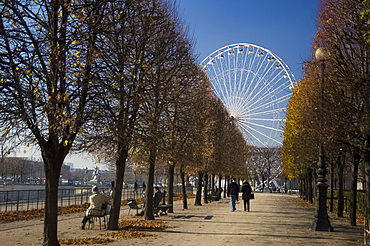 The holiday carousel and Tuileries Garden, Paris, France, Europe