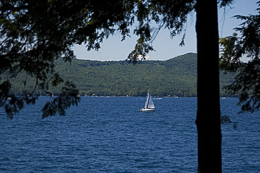 A sailboat on Lake George viewed through pine trees, Adirondack Mountains, New York State, United States of America, North America