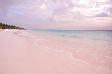 Pink Sands Beach, Harbour Island, The Bahamas, West Indies, Central America