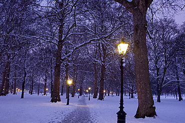 Snow covered trees at dusk in Green Park, London, England, United Kingdom, Europe