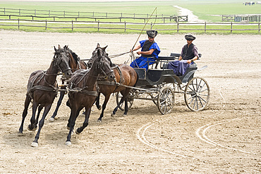 A demonstration of horsemanship at a farm near Kalocsa, Hungary, Europe