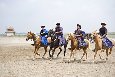 A demonstration of horsemanship at a farm near Kalocsa, Hungary, Europe