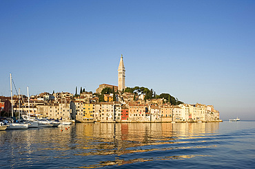 The Cathedral of St. Euphemia and the old Venetian style buildings of Rovinj at sunrise, Istria, Croatia, Adriatic, Europe