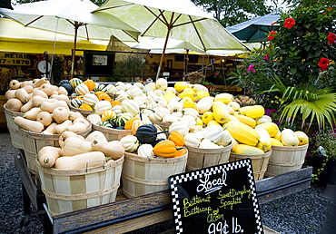 Different varieties of squash on sale at a farm stand in East Hampton, Long Island, New York State, United States of America, North America