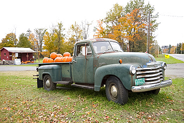 Pumpkins for sale in an old Chevrolet pickup truck at a roadside stand in Vermont, New England, United States of America, North America