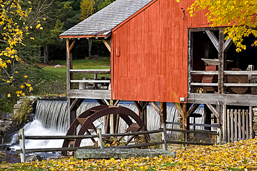 Autumn foliage around the old mill and waterfall in Weston, Vermont, New England, United States of America, North America