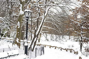 The Ramble in Central Park after a snowstorm, New York City, New York State, United States of America, North America