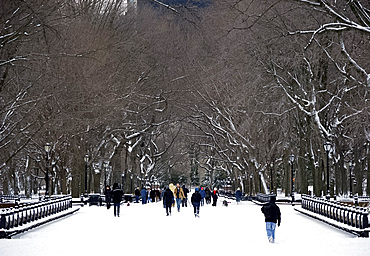 People walking through the mall in Central Park after a snowstorm, New York City, New York State, United States of America