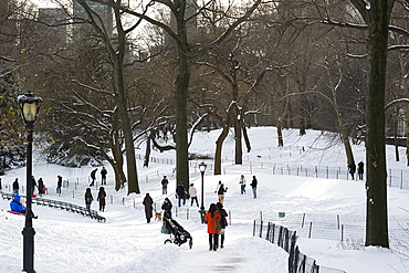 People enjoying Central Park after a snowstorm, New York City, New York State, United States of America, North America