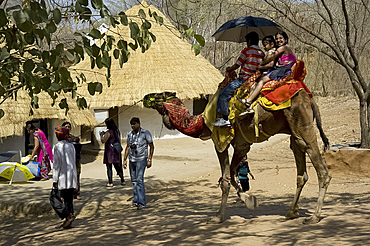 Tourists on a camel at the Shipgram Craftsmen's Village, Udaipur, Rajasthan, India, Asia