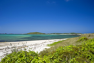 A sandy beach on the island of Tresco, The Scilly Isles, United Kingdom, Europe