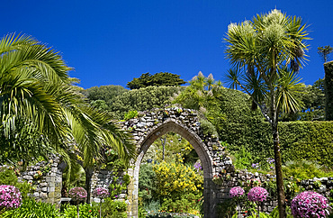 A stone arch, remains of the 12 century Priory of St. Nicholas, surrounded by palm trees and subtropical succulents in The Abbey Gardens, Tresco, Isles of Scilly, United Kingdom, Europe