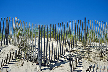 Sand dunes and beach grass, East Hampton Beach, Long Island, New York State, United States of America, North America