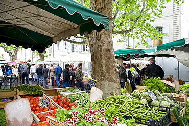 Salad items for sale at the market in Uzes, Provence, France, Europe