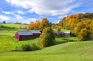 Autumn foliage surrounding red barns at Jenne Farm in South Woodstock, Vermont, New England, United States of America, North America