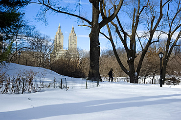 Fresh snow in Central Park, New York City, New York State, United States of America, North America