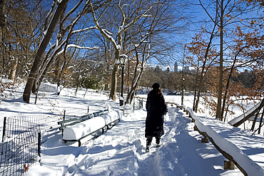 Fresh snow in Central Park after a blizzard, New York City, New York State, United States of America, North America