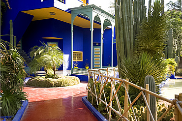 A cobalt blue pavilion surrounded by cactuses and palm trees in the Majorelle Garden, Marrakech, Morocco, North Africa, Africa