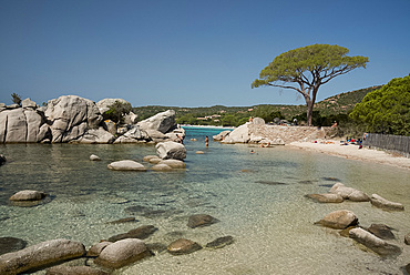 Palombaggia Beach near Porto-Vecchio, Corsica, France, Mediterranean, Europe