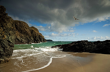 Rough sea in Kynance Cove on the Lizard Peninsula, Cornwall, England, United Kingdom, Europe