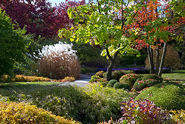 Autumn foliage in The Montreal Botanical Garden, Montreal, Quebec Province, Canada, North America