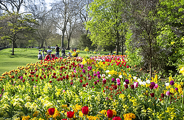 People enjoying a spring day in St. James's Park surrounded by brightly coloured tulips, London, England, United Kingdom, Europe