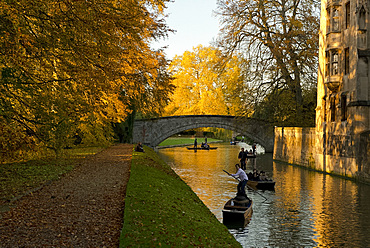 Punts on the Cam on an autumn day, Cambridge, Cambridgeshire, England, United Kingdom, Europe