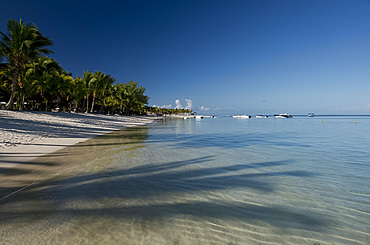 Palm trees and a white sand beach at the Lux Le Morne Hotel on  Le Morne Brabant Peninsula, Mauritius, Indian Ocean, Africa